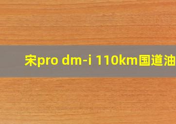 宋pro dm-i 110km国道油耗